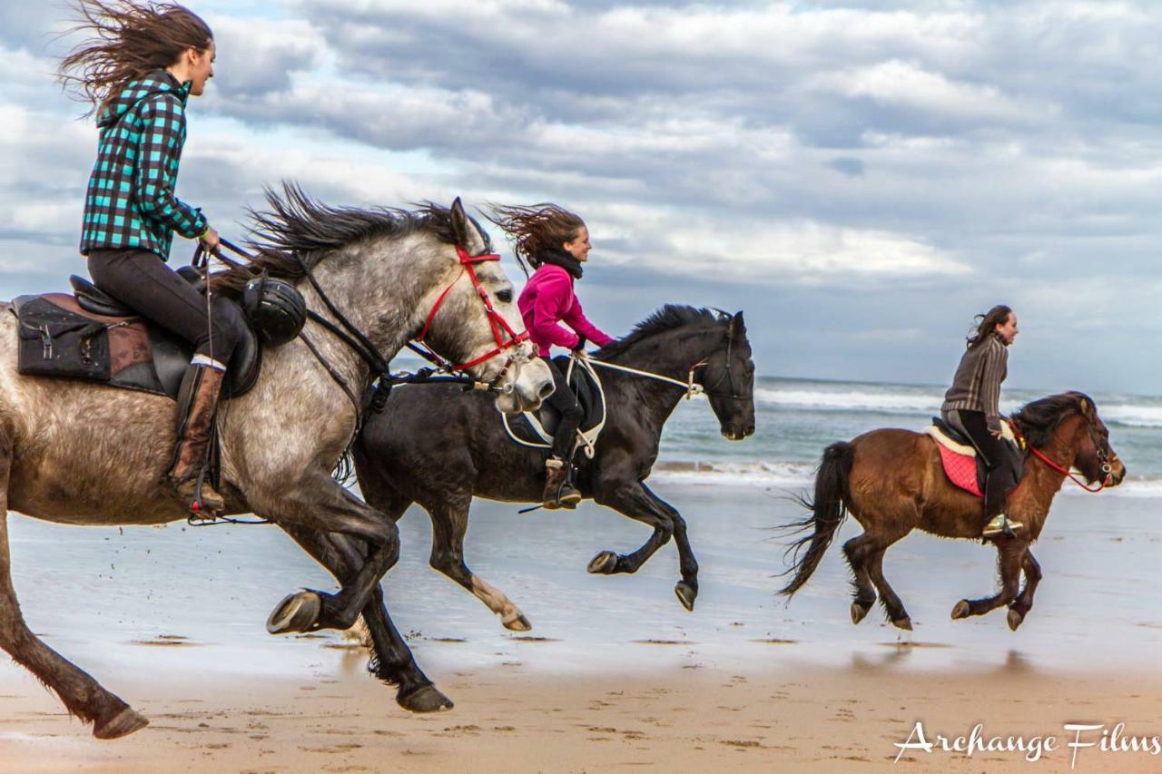 Front De Mer Hendaye Dış mekan fotoğraf